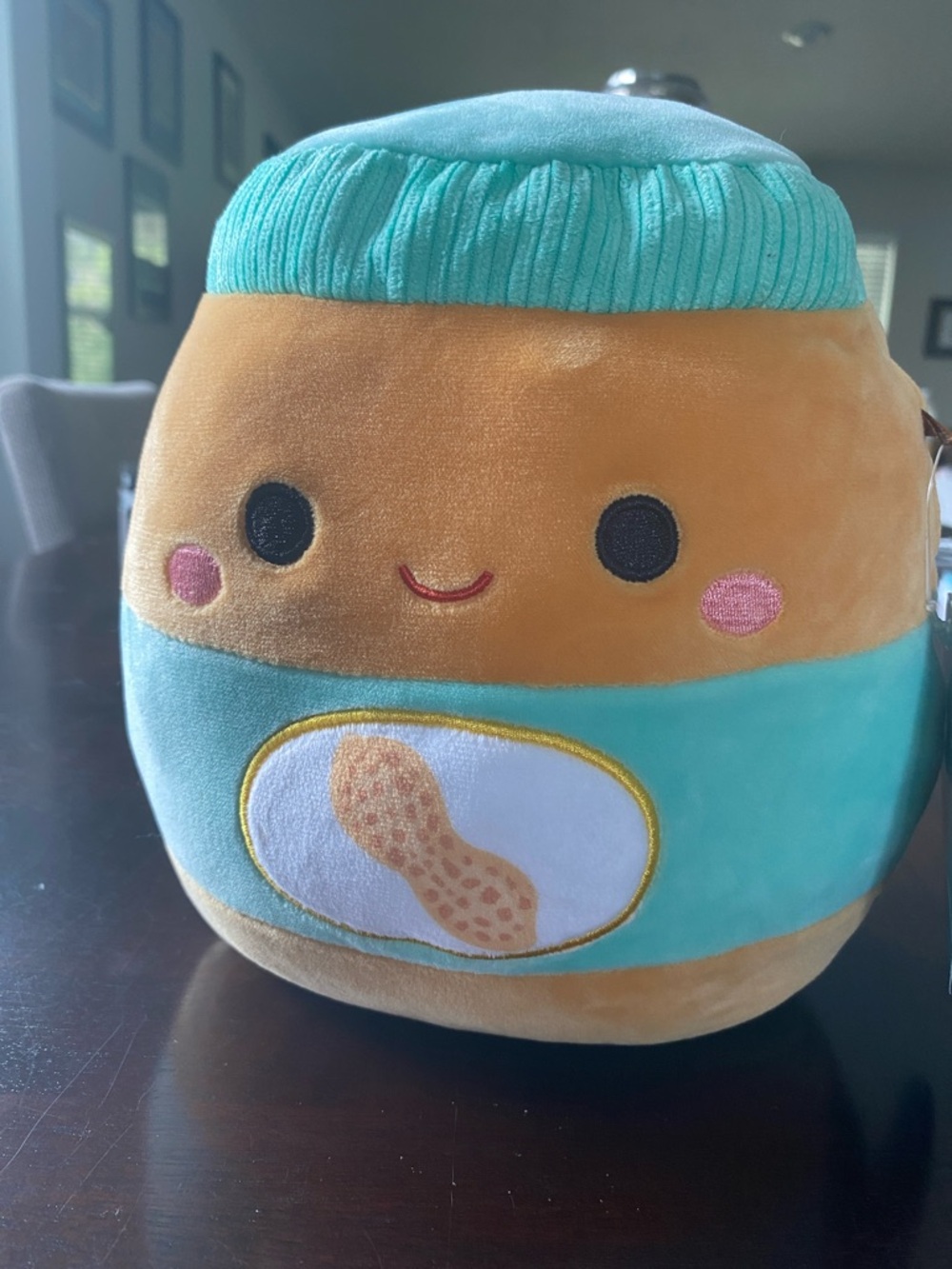 Squishmallows Tan & Teal Peanut Jar Plush